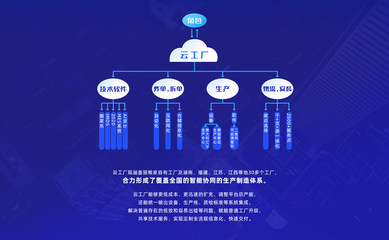 麗維家 打造互聯網時代的木匠新標桿